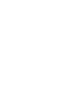 Flic